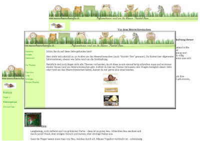 Screenshot der Webprsenz Meerschweincheninfos